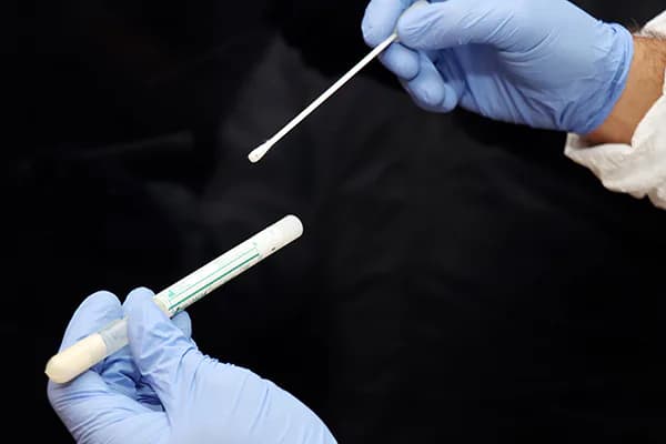 Two Ways To Get A Sample Tested, documented during a Quest field assessment