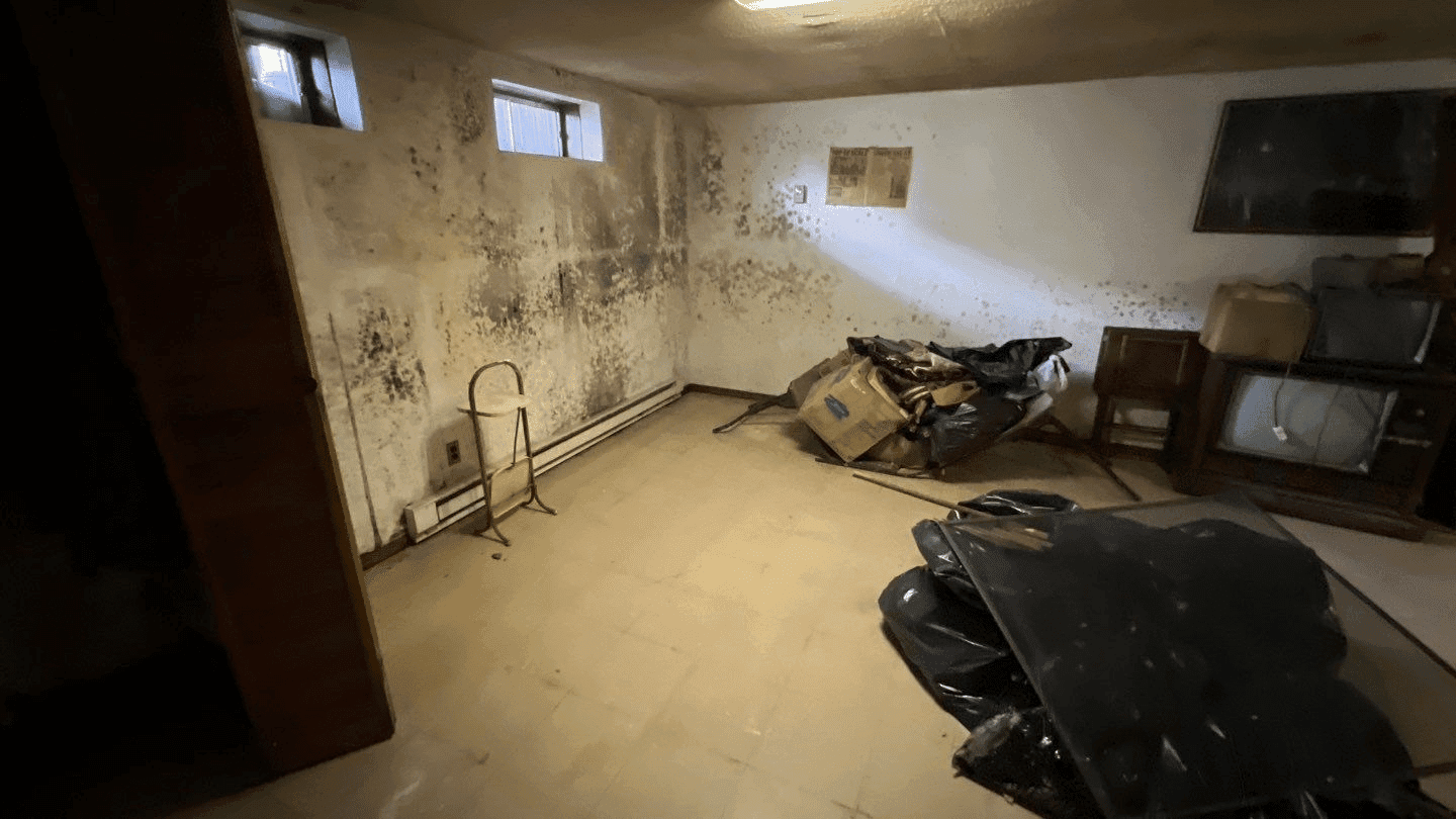 Basement wall and ceiling with visible mold damage and water staining
