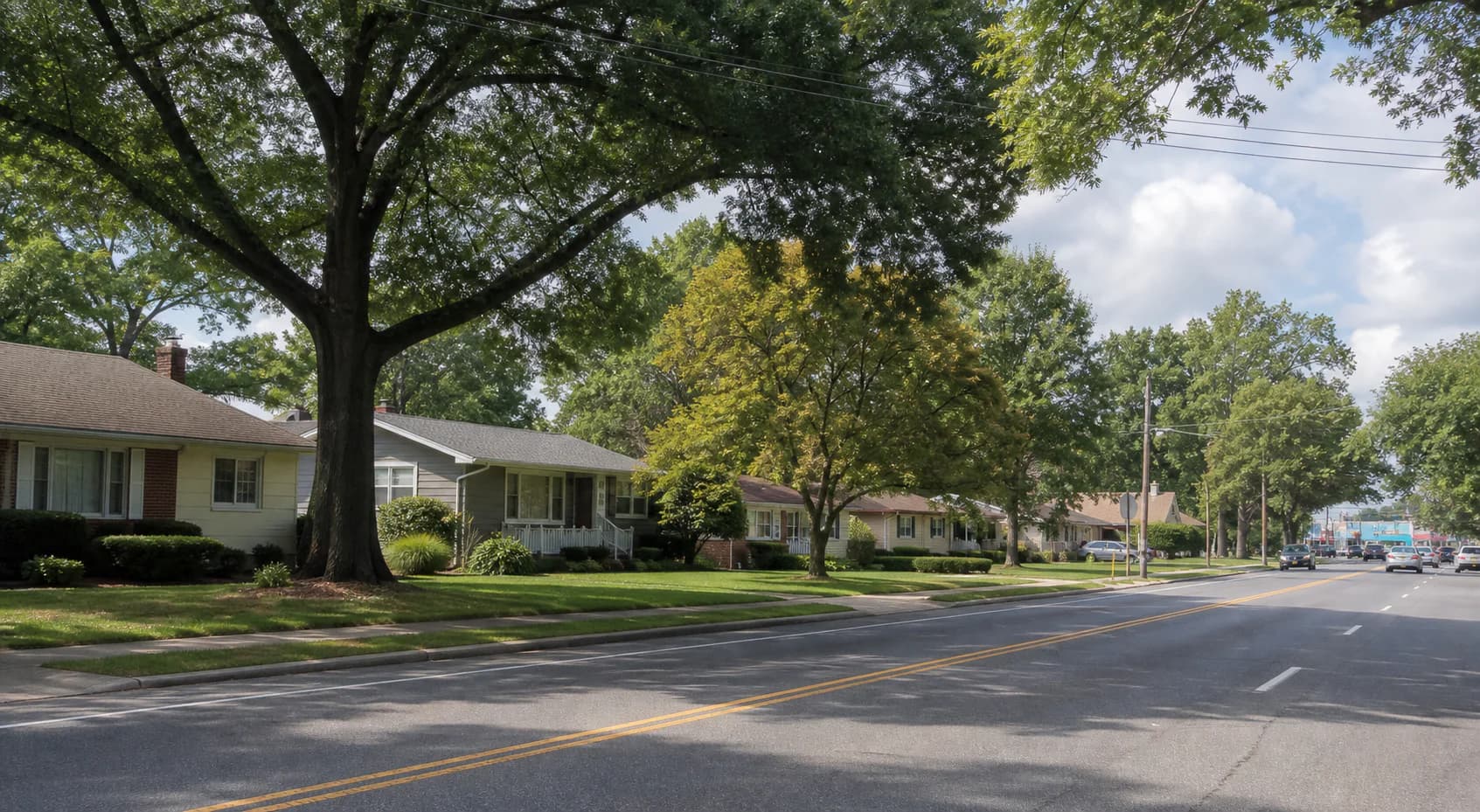 Lake Grove neighborhood and property coverage