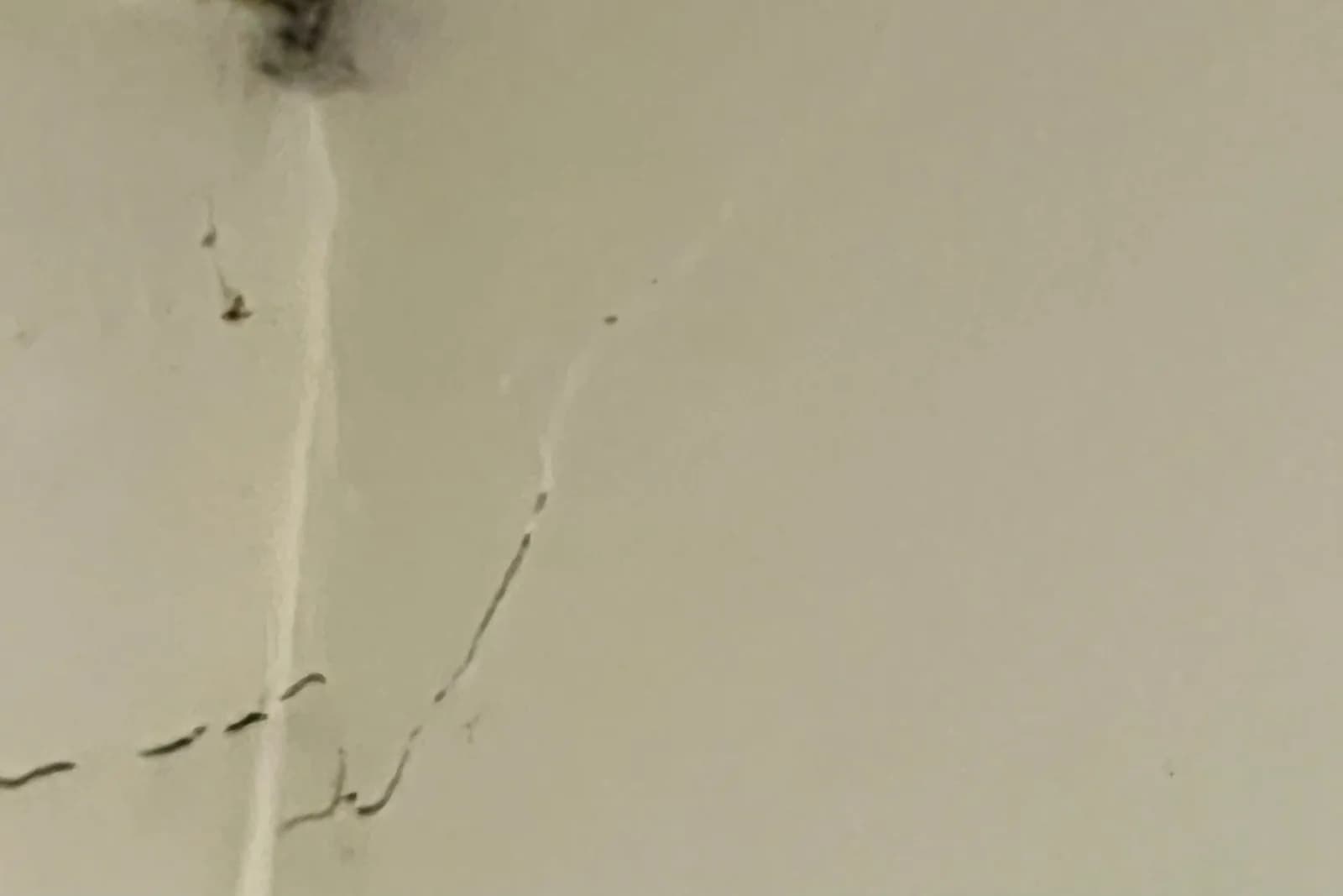 Visible Changes That Indicate Mold Growth in Your Property, documented during an independent environmental assessment