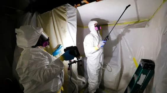 Asbestos Inspection Across New York City, documented during a Quest field assessment