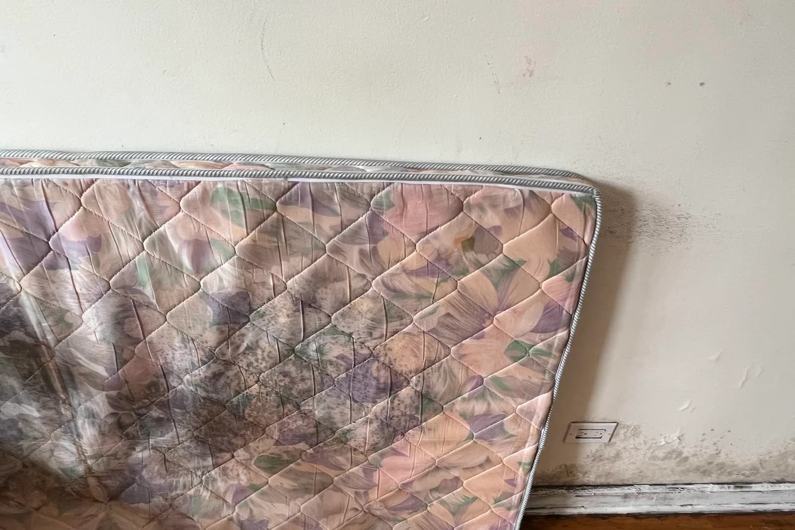 Black Mold Testing Services Available Across Long Island, documented during a Quest field assessment