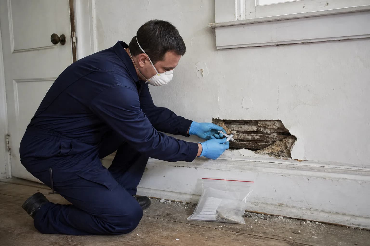 Quest Mold and Asbestos Inspection Company Long Island, shown in a professional environmental inspection setting