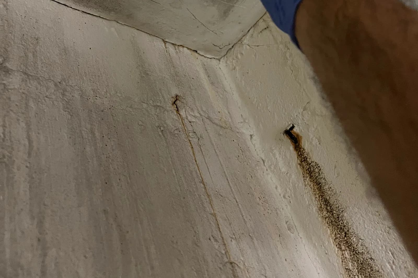 How Surface Sampling Detects Hidden Mold on Your Property, documented during a Quest field assessment