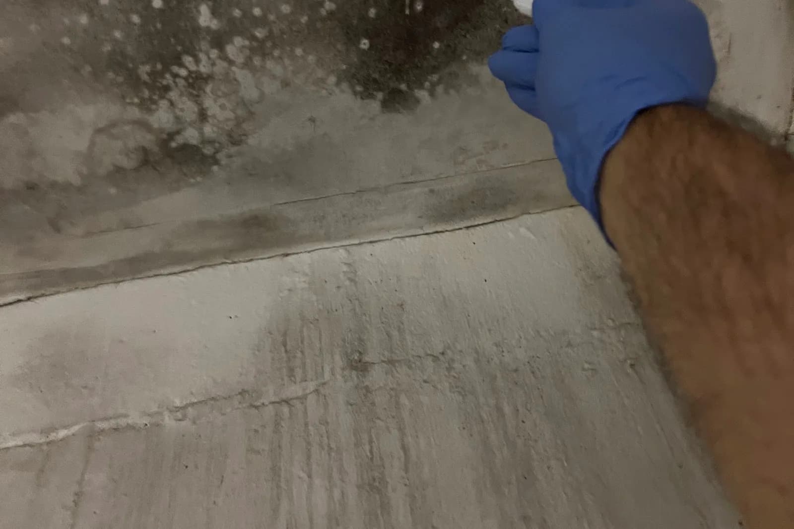 Visual Mold Inspection in Long Island, documented during a Quest field assessment
